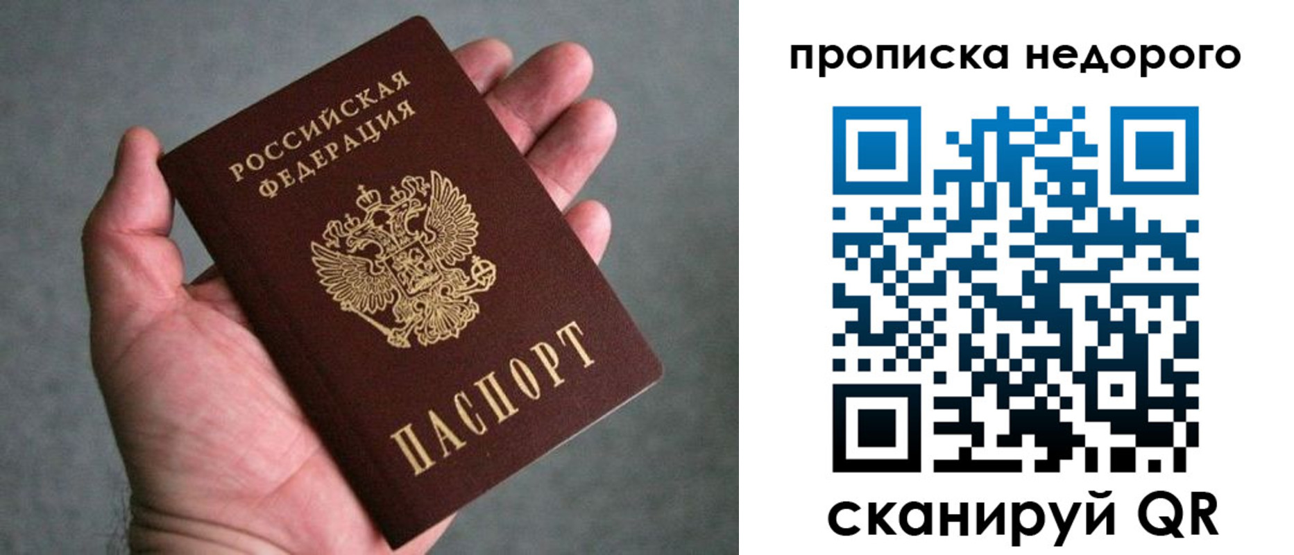 прописка поиск в Сольцах